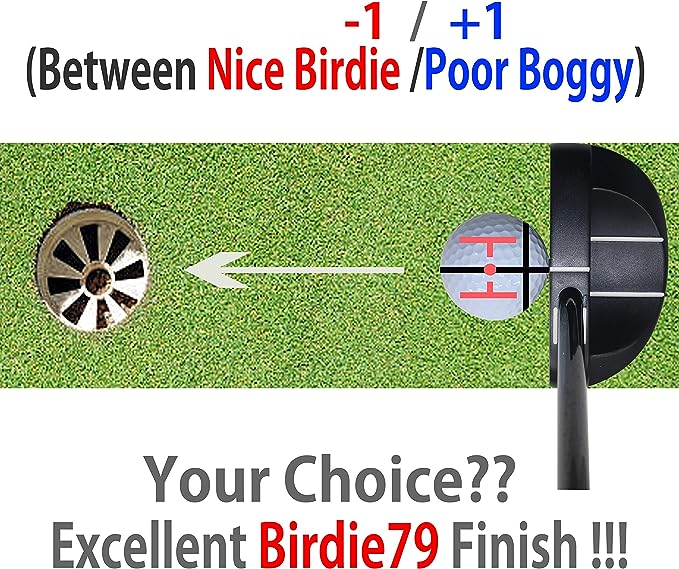 Easy Golf Ball Liner